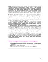 Atmosfera 8 puslapis