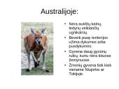 Australija - žemynas ir šalis 4 puslapis