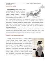 Bonsai – mažasis Japonijos kultūros ambasadorius 2 puslapis