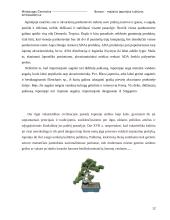 Bonsai – mažasis Japonijos kultūros ambasadorius 12 puslapis