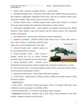 Bonsai – mažasis Japonijos kultūros ambasadorius 7 puslapis