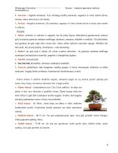 Bonsai – mažasis Japonijos kultūros ambasadorius 8 puslapis