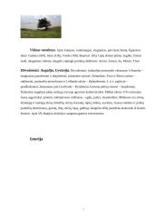Danijos karalystė 8 puslapis
