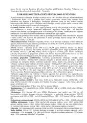 Darnus vystymasis Brazilijoje 4 puslapis