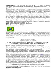 Darnus vystymasis Brazilijoje 5 puslapis