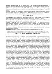 Darnus vystymasis Brazilijoje 8 puslapis