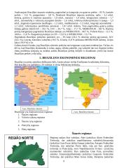 Darnus vystymasis Brazilijoje 9 puslapis
