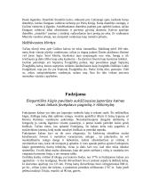 Didieji Azijos stebuklai 16 puslapis