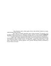Džordžas Geršvinas 7 puslapis