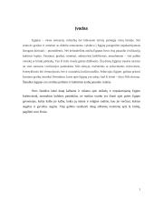 Egipto istorinė bei geografinė padėtis 2 puslapis