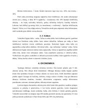 Egipto istorinė bei geografinė padėtis 6 puslapis