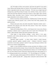 Egipto istorinė bei geografinė padėtis 7 puslapis