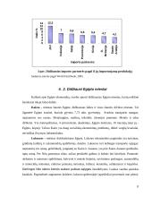 Egipto istorinė bei geografinė padėtis 9 puslapis
