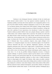 Gamtinė-geografinė vandenyno charakteristika 19 puslapis