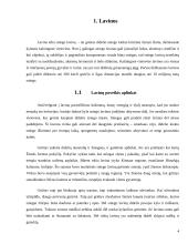 Gamtos stichijos. Stichijų poveikis aplinkai 3 puslapis