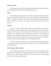 Gamtos stichijos. Stichijų poveikis aplinkai 5 puslapis