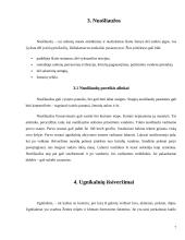 Gamtos stichijos. Stichijų poveikis aplinkai 6 puslapis