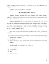 Gamtos stichijos. Stichijų poveikis aplinkai 7 puslapis