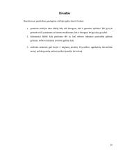 Gamtos stichijos. Stichijų poveikis aplinkai 9 puslapis