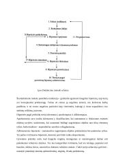 Viskas apie hipotezę 4 puslapis