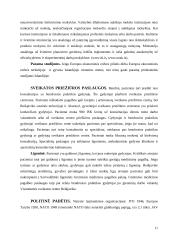 Islandijos aprašymas 11 puslapis