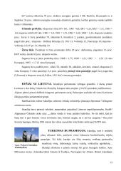 Islandijos aprašymas 13 puslapis