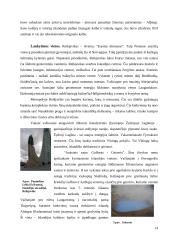 Islandijos aprašymas 14 puslapis