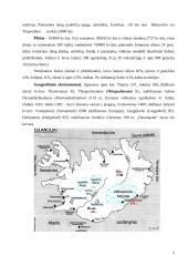 Islandijos aprašymas 5 puslapis