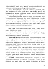 Islandijos aprašymas 10 puslapis