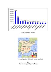 Ispanijos Karalystė bei jos charakteristika 17 puslapis