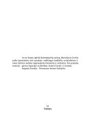 Ispanijos Karalystė bei jos charakteristika 19 puslapis