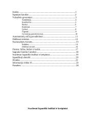 Ispanijos Karalystė bei jos charakteristika 20 puslapis