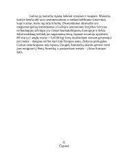 Ispanijos Karalystė bei jos charakteristika 9 puslapis