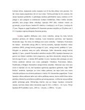 Ispanijos Karalystė 11 puslapis