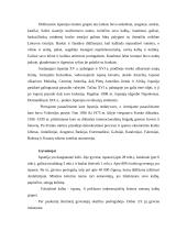 Ispanijos Karalystė 3 puslapis