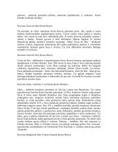 Ispanijos Karalystė 6 puslapis