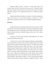 Ispanijos Karalystė 10 puslapis