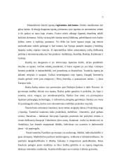 Ispanija bei jos kultūra 3 puslapis