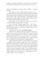 Ispanija bei jos kultūra 6 puslapis