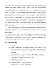 Visa informacija apie Ispaniją 12 puslapis