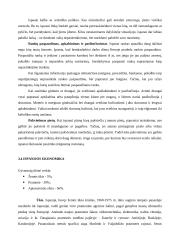 Visa informacija apie Ispaniją 15 puslapis