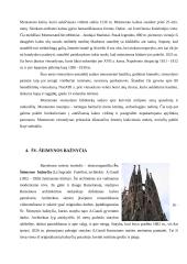 Visa informacija apie Ispaniją 20 puslapis
