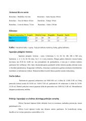 Visa informacija apie Ispaniją 6 puslapis