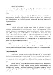 Visa informacija apie Ispaniją 7 puslapis