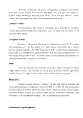 Visa informacija apie Ispaniją 9 puslapis
