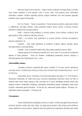 Visa informacija apie Ispaniją 10 puslapis