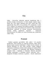 Italijos geografija 6 puslapis