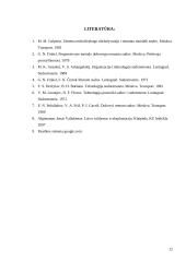 Laivų remontas, dokai, laivų techninė priežiūra 12 puslapis