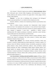 Laivų remontas, dokai, laivų techninė priežiūra 4 puslapis