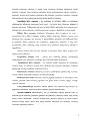 Laivų remontas, dokai, laivų techninė priežiūra 5 puslapis